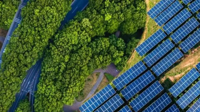 climate action activities