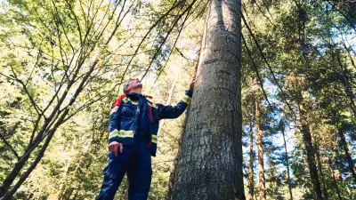 Christoph Vieregge, Portfolio manager and expert for fire alarm systems at Bosch Energy and Building Solutions, in the forest