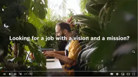 Looking for a job with a vision and a mission?