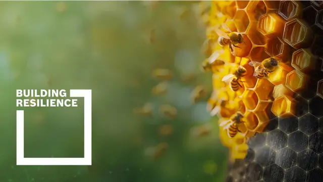 Ein Bienenstock als Symbol für schützenswerte und komplexe Infrastruktur