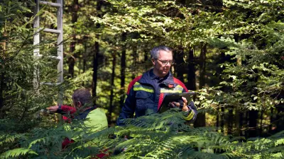 Brandschutzexperte im Wald