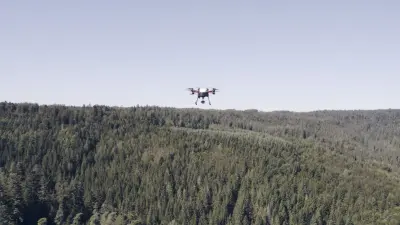 Over the forest flying drone