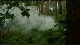 Drone Flight Services