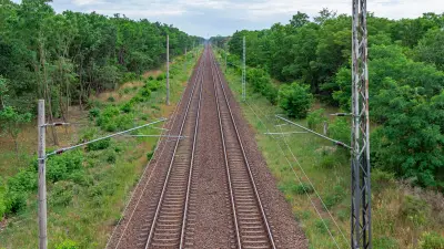 Gleise in Waldstück