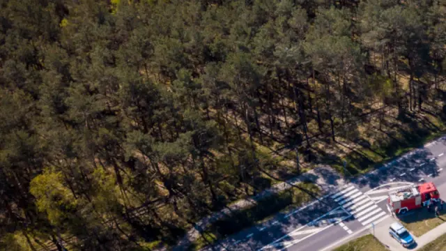 Feuerwehreinsatz Wald