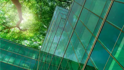 Glass facade building with view in tree crown