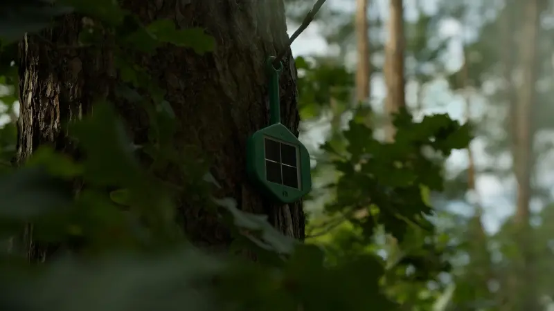 Sensor im Wald