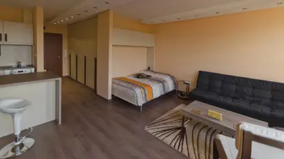 Small studio with kitchen, bed and sofa