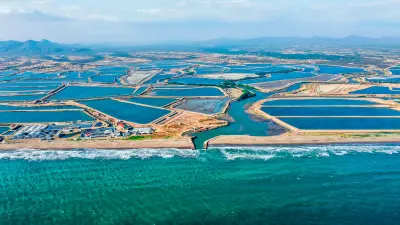 Santa Priscila karides çiftliği