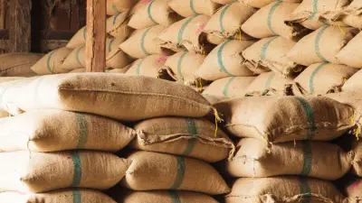 Sacks of coffee beans in a warehouse