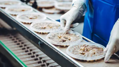 Fish processing line in a factory