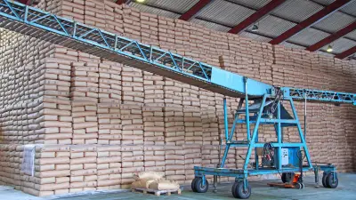large semi-open warehouse with thousands of sugar sacks and a conveyor-belt for easier transportation